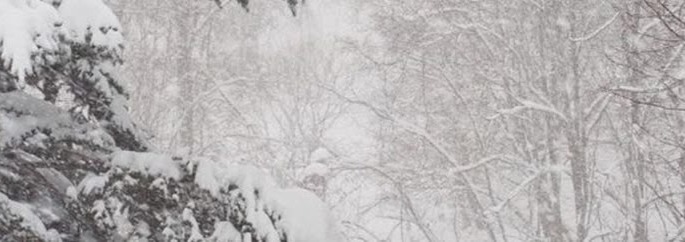 Cold