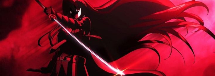 Akame Ga Kill Banner