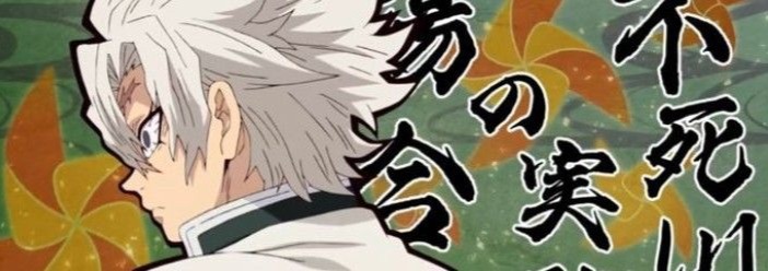 Sanemi Banner