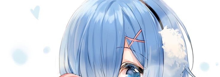 Rem Banner