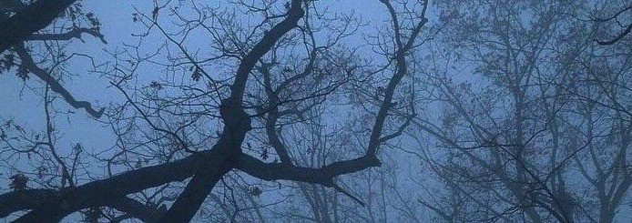 Cold Banner