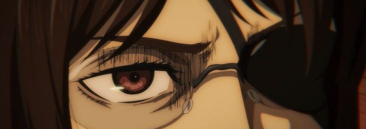 Hange Zoe Banner