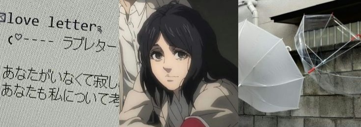 Pieck Finger Banner