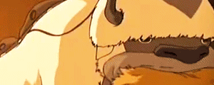 Appa 