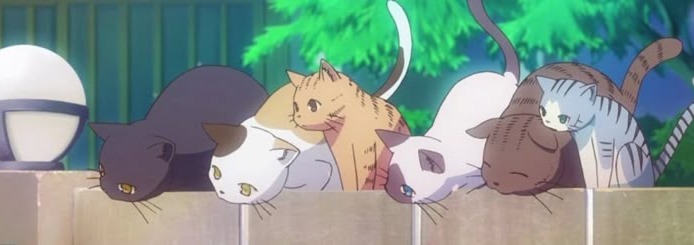 Anime Cat Banner