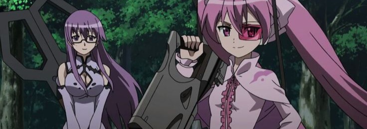 Akame Ga Kill Banner