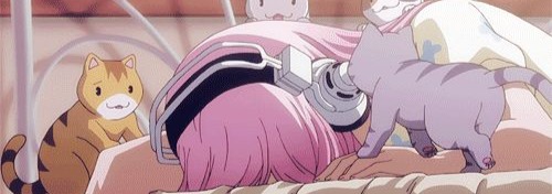 Neko