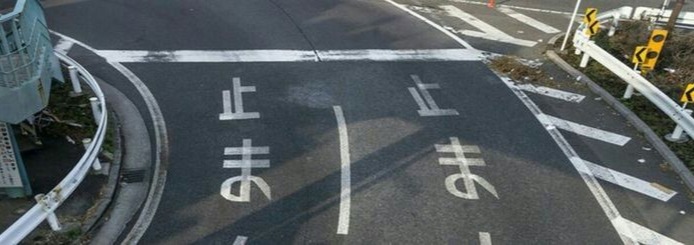 Asian Banner