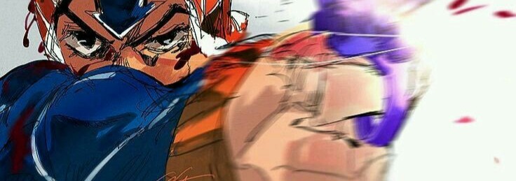 Mista Banner