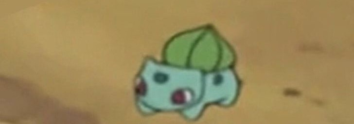 Bulbasaur Banner