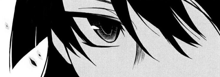 Akame Ga Kill Banner