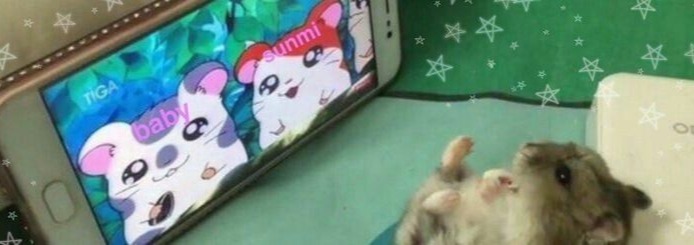 Hamster