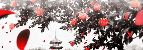 Aesthetic Gif Banner