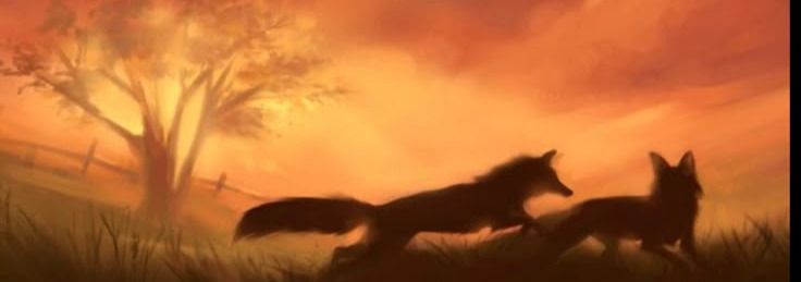 Fox Banner