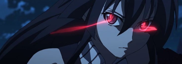 Akame Ga Kill Banner