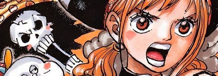 Nami Banner