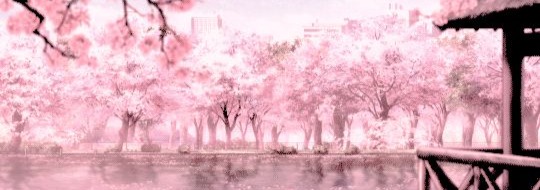 Aesthetic Banner
