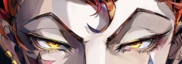 Hisoka Banner