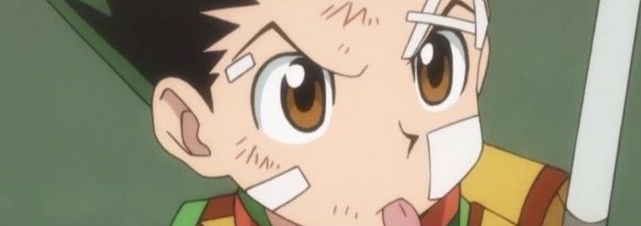 Gon Banner