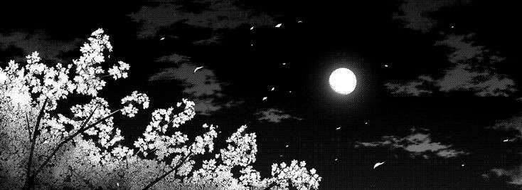 black,cherry banner