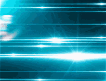 wally Banner