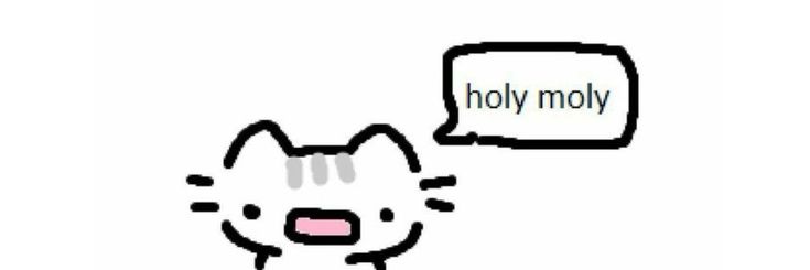 Cat (words with white banner)