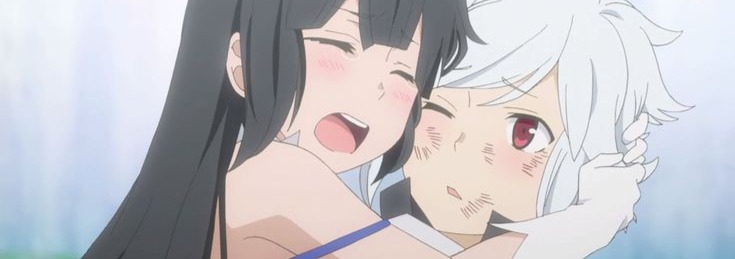Danmachi Banner