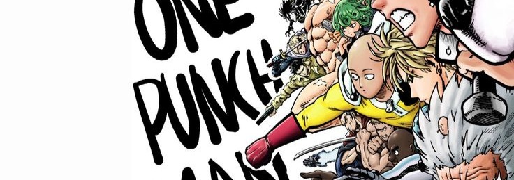 One Punch Man Banner