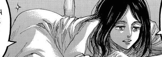 Pieck Finger Banner