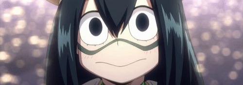 Froppy Banner
