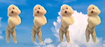 dsfggdf Banner