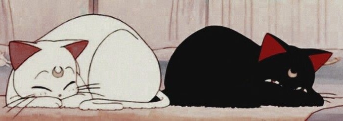 Neko