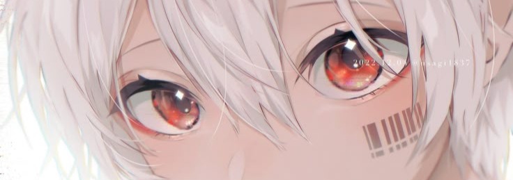 Mafumafu Banner