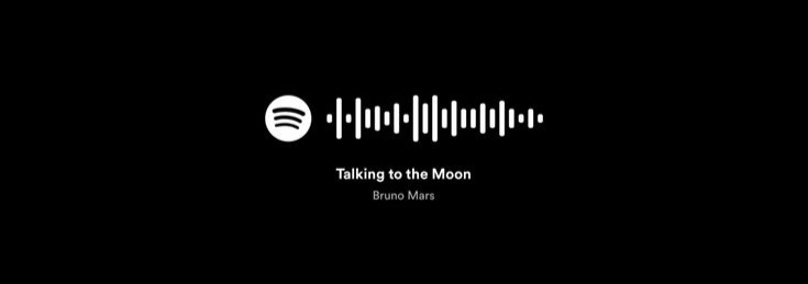 Spotify Banner