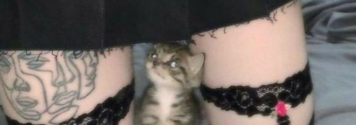 Catgirl