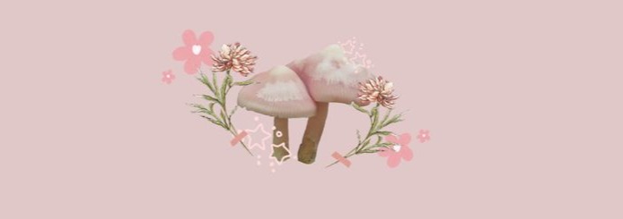Mushroom Banner