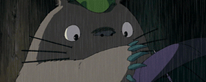 Totoro Banner