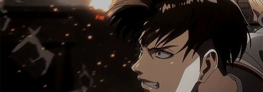 Levi Ackerman