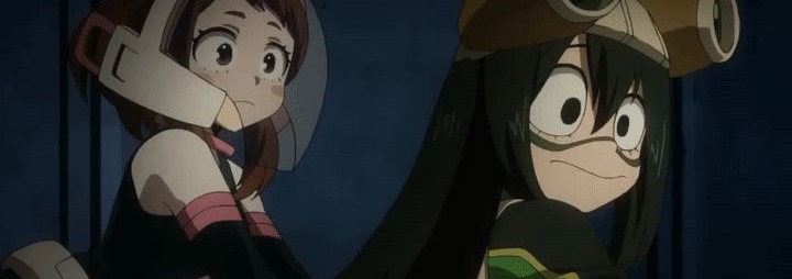 Froppy Banner