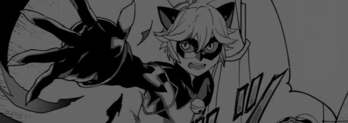 Chat Noir