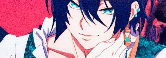 Vanitas Banner