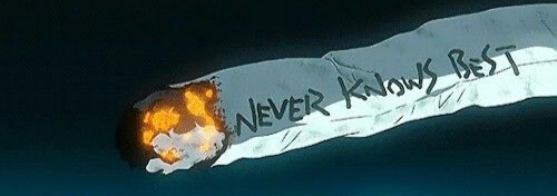 Flcl Banner