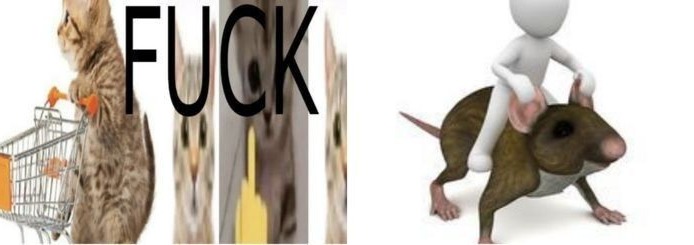 Meme Page