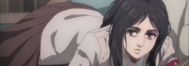 Pieck Finger Banner