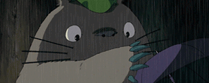 Totoro uwu