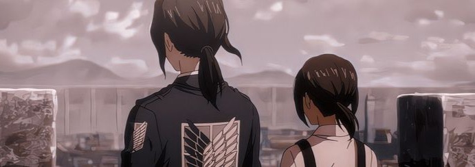 Pieck Finger Banner