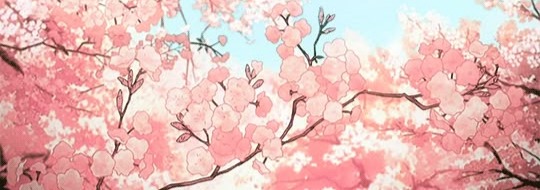 Sakuta Banner