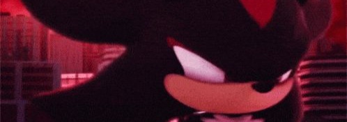 Shadow The Hedgehog