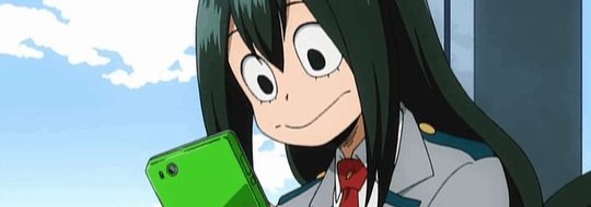 Froppy Banner