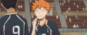1/2 hinata banner 